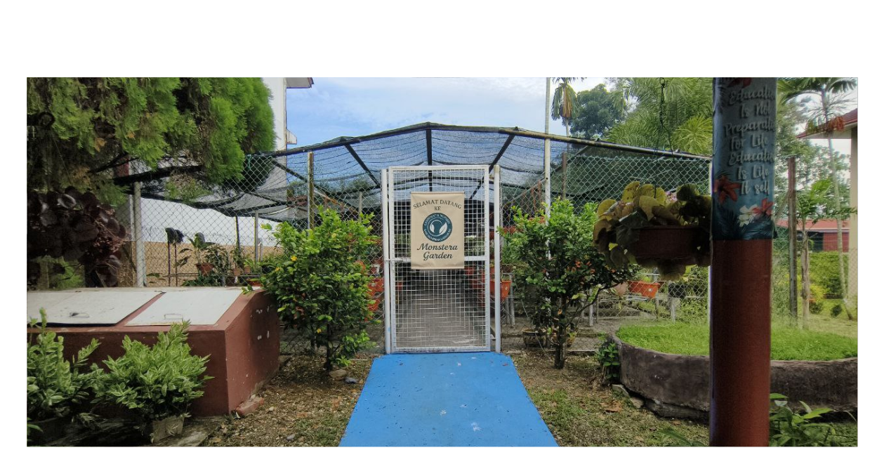 Monstera Garden